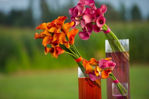 Photographe mariage - Laurent PASCAL PHOTOGRAPHE - photo 152