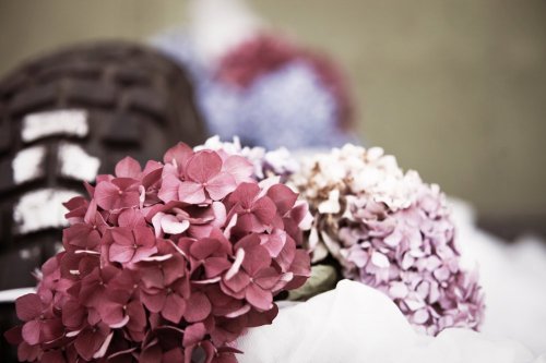 Belairphotographie - Photographe mariage - 2 Belairphotographie - Photographe mariage - 2