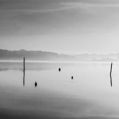 Jean Blanchais Photographe - Photographe - 2 Jean Blanchais Photographe - Photographe - 2
