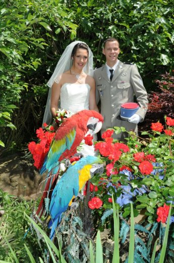 PHAN Georges - Photographe mariage - 1 PHAN Georges - Photographe mariage - 1
