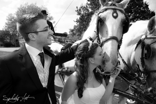 Photographe mariage - Sphotos Art - photo 43