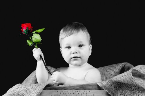 steve-c-foto - Photographe mariage - 2 steve-c-foto - Photographe mariage - 2