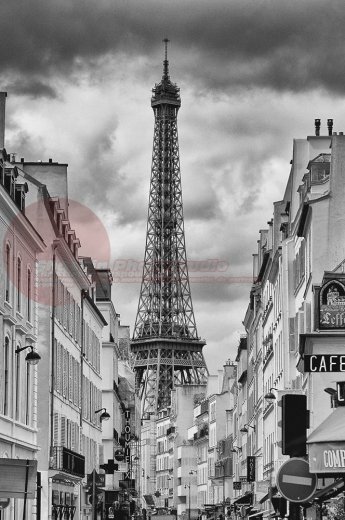 MESPOULEDE CHRISTOPHE - Photographe mariage - 1 MESPOULEDE CHRISTOPHE - Photographe mariage - 1