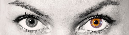 Photographe-Auteur David Reus© - Photographe - 2 Photographe-Auteur David Reus© - Photographe - 2