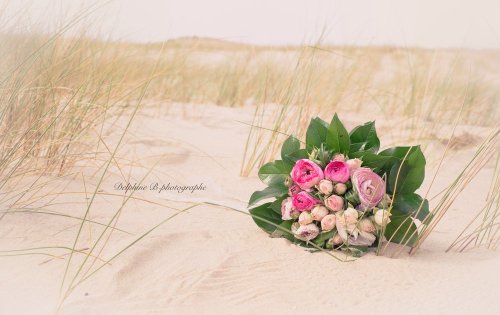 Delphine B-Photography - Photographe mariage - 2 Delphine B-Photography - Photographe mariage - 2