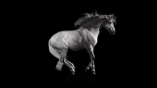 antoine bassaler - Photographe - 1 antoine bassaler - Photographe - 1
