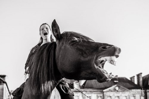 antoine bassaler - Photographe - 2 antoine bassaler - Photographe - 2