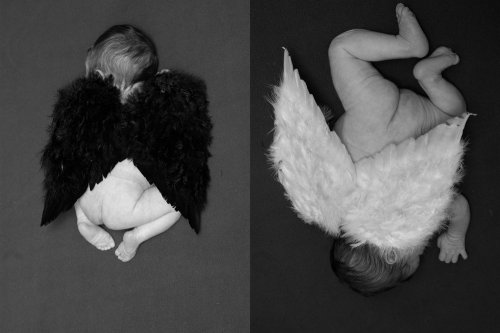 Chrystelle PLIQUE, Photgraphe - Photographe mariage - 1 Chrystelle PLIQUE, Photgraphe - Photographe mariage - 1