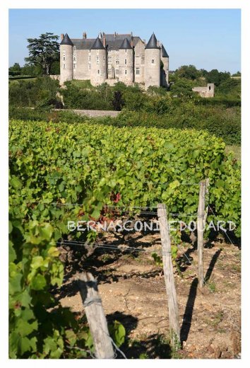 clichesurloire - Photographe mariage - 2 clichesurloire - Photographe mariage - 2
