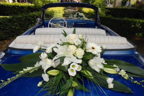 Thomas Rouet - Photographe mariage - 1 Thomas Rouet - Photographe mariage - 1