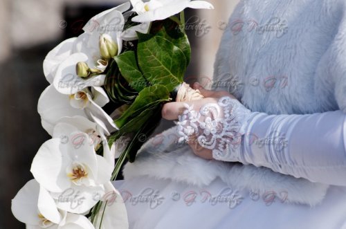 G PACHOUTINE - Photographe mariage - 1 G PACHOUTINE - Photographe mariage - 1