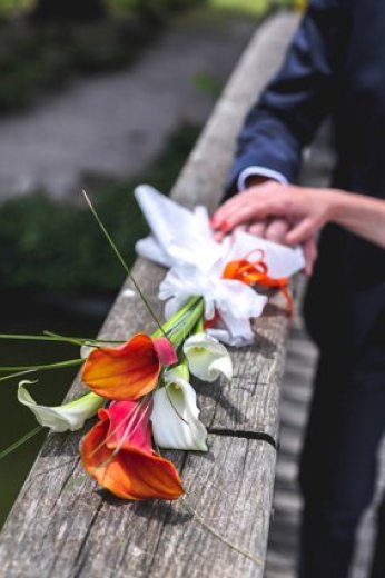 Lafargue Claire - Photographe mariage - 1 Lafargue Claire - Photographe mariage - 1