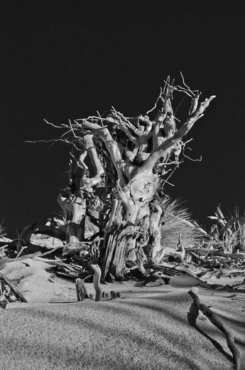 Olivier Sabatier - Photographe - 2 Olivier Sabatier - Photographe - 2