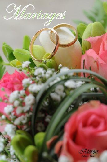 Ildevert atelier photo - Photographe mariage - 1 Ildevert atelier photo - Photographe mariage - 1