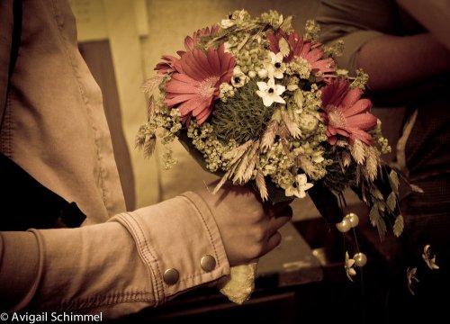 Photographe professionelle - Photographe mariage - 1 Photographe professionelle - Photographe mariage - 1