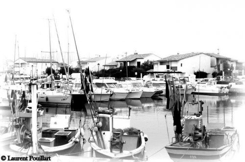 Photographeamiens.fr - Photographe mariage - 1 Photographeamiens.fr - Photographe mariage - 1