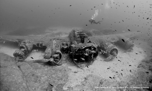 PHOTOGRAPHIE LE GALLAIS - Photographe - 1 PHOTOGRAPHIE LE GALLAIS - Photographe - 1