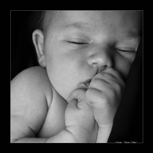 STUDIO MARTINE PORTRAITISTE - Photographe mariage - 2 STUDIO MARTINE PORTRAITISTE - Photographe mariage - 2