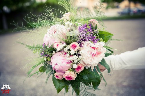 Hannauer Olivier - Photographe mariage - 2 Hannauer Olivier - Photographe mariage - 2