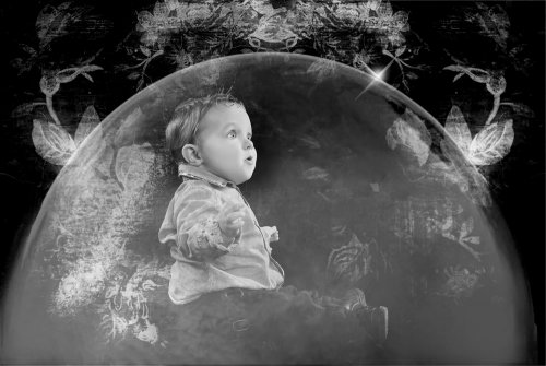 PHILIPPE LEURS PHOTOGRAPHIES - Photographe - 2 PHILIPPE LEURS PHOTOGRAPHIES - Photographe - 2