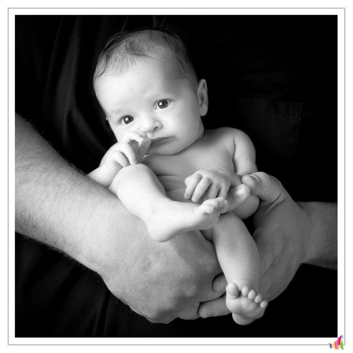 POINT PHOTO / V.I.P. Studio - Photographe mariage - 2 POINT PHOTO / V.I.P. Studio - Photographe mariage - 2