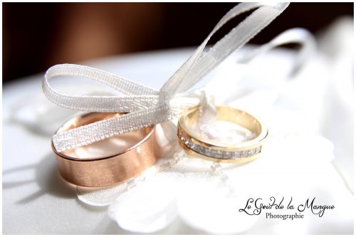 Le Gout de la Mangue - Photographe mariage - 1 Le Gout de la Mangue - Photographe mariage - 1