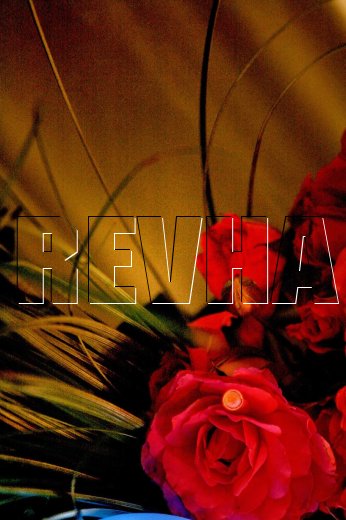 Photographe mariage - REVHA - photo 14