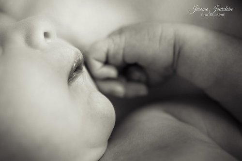 jerome jourdain photographe - Photographe - 2 jerome jourdain photographe - Photographe - 2