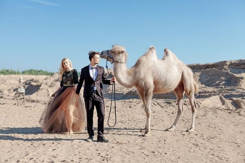 Jingoo - Photographe mariage - 1 Jingoo - Photographe mariage - 1