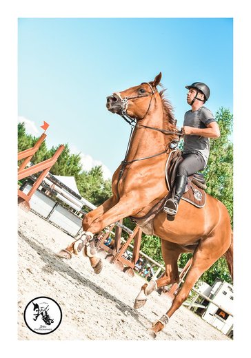 Betina Photographies - Photographe - 1 Betina Photographies - Photographe - 1