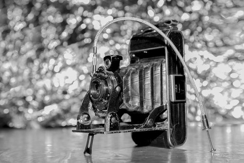 BERTHET FREDERIC - Photographe - 1 BERTHET FREDERIC - Photographe - 1