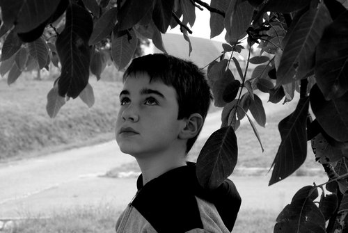 Fée Risettes - Photographe - 2 Fée Risettes - Photographe - 2