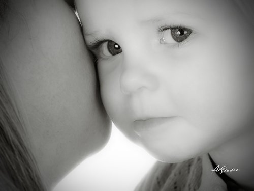 APN STUDIO - Photographe mariage - 1 APN STUDIO - Photographe mariage - 1