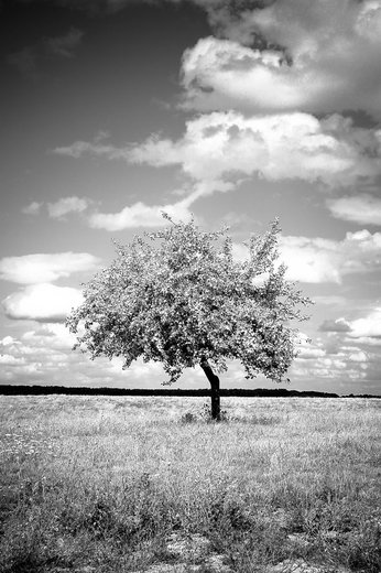 Christelle Prieur Photographies - Photographe mariage - 2 Christelle Prieur Photographies - Photographe mariage - 2