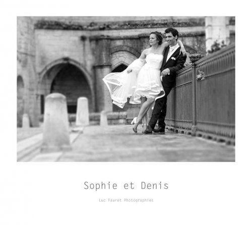 Photographe mariage - Luc Fauret Photographe - photo 29