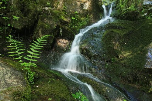 Photographe - Michel RISSOAN  04 75 66 02 74 - photo 38