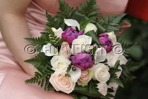 Portraits de Stars - Photographe mariage - 1 Portraits de Stars - Photographe mariage - 1