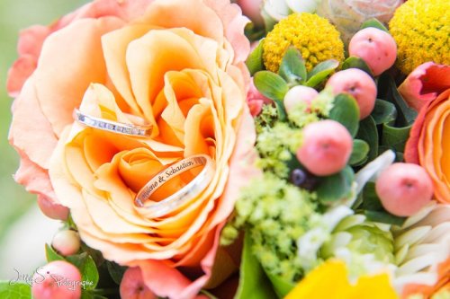 bonjour et bienvenue! - Photographe mariage - 2 bonjour et bienvenue! - Photographe mariage - 2