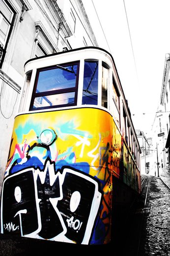 MATEO LE PHOTOGRAPHISTE - Photographe - 1 MATEO LE PHOTOGRAPHISTE - Photographe - 1