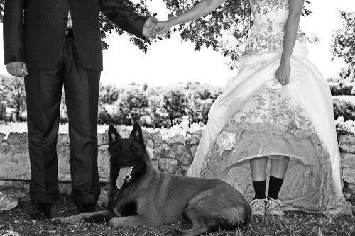 photographe - Jérôme Rozières - Photographe mariage - 1 photographe - Jérôme Rozières - Photographe mariage - 1