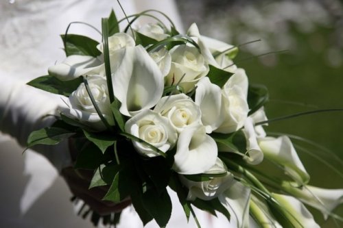 Form'AVI - Photographie - Photographe mariage - 1 Form'AVI - Photographie - Photographe mariage - 1