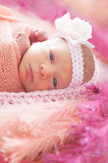 Noore Photography - Photographe - 1 Noore Photography - Photographe - 1