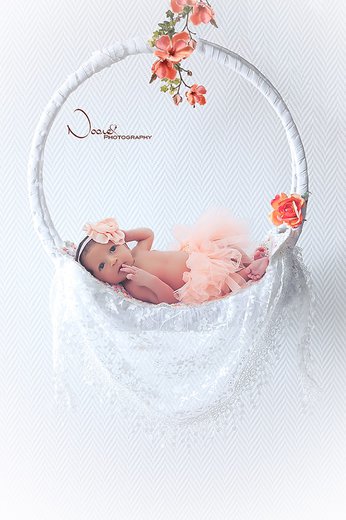 Noore Photography - Photographe - 2 Noore Photography - Photographe - 2