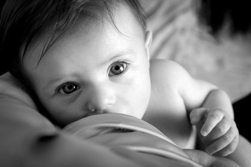 Aurore Duguet Photographe - Photographe - 1 Aurore Duguet Photographe - Photographe - 1