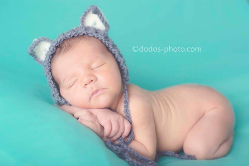 Dodo's Photo Photography - Photographe - 1 Dodo's Photo Photography - Photographe - 1