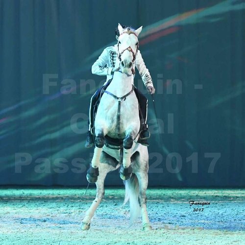 FANEQUIN PHOTOGRAPHIES - Photographe - 2 FANEQUIN PHOTOGRAPHIES - Photographe - 2