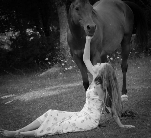 CONFORT VISION - Photographe - 2 CONFORT VISION - Photographe - 2
