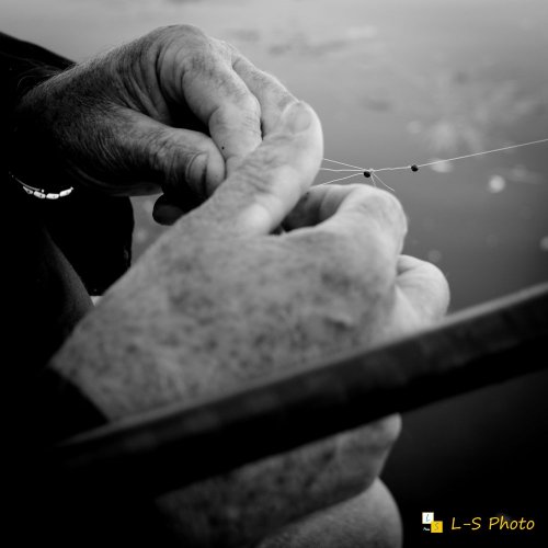 L-S Photo - Photographe - 1 L-S Photo - Photographe - 1