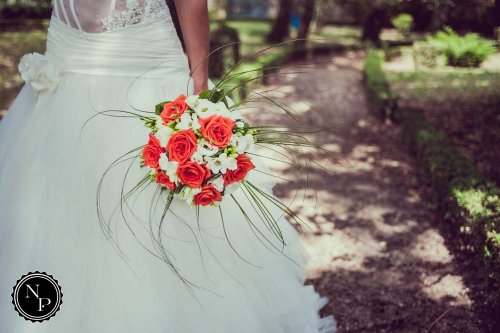 nicolas-photography - Photographe mariage - 1 nicolas-photography - Photographe mariage - 1