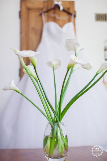 STUDIO COLAS - Photographe mariage - 2 STUDIO COLAS - Photographe mariage - 2